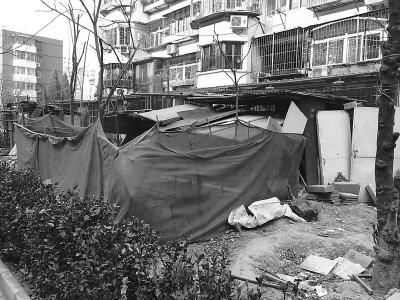 北京某小区住户楼前圈绿地 搭棚屋当车库存杂