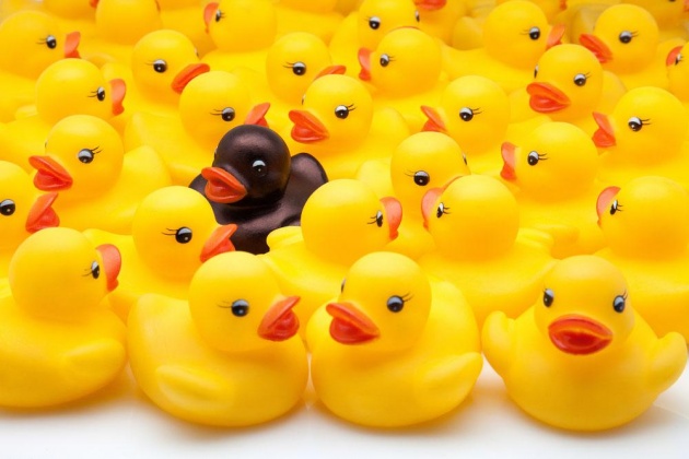 请注意!萌态大黄鸭出没郑州 洞林湖风景区 --凤