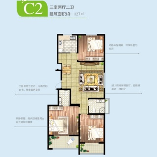 C2