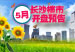 红五月点燃长沙楼市烽火