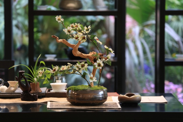 天津泰达执导 青城山首个超级综合体亮相 --凤