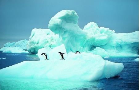 体验冰河世界征服南极之巅 --凤凰房产成都