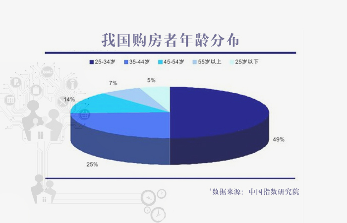 老年型人口概念_老年型人口金字塔(3)