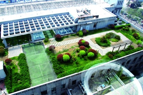 图为历下区医院的楼顶花园.