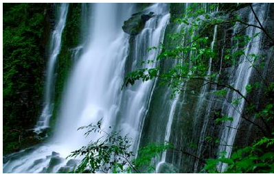 脑筋急转弯:成都市区负氧离子最高的地方在哪