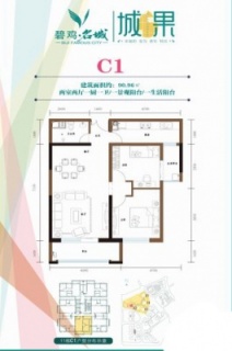 二期C1户型图