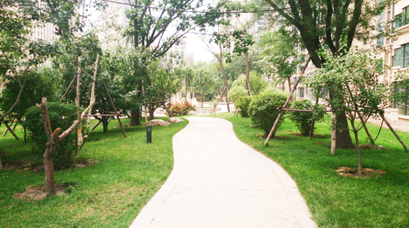 沈阳恒大江湾 央景公园荣耀加推 礼遇全城 --凤