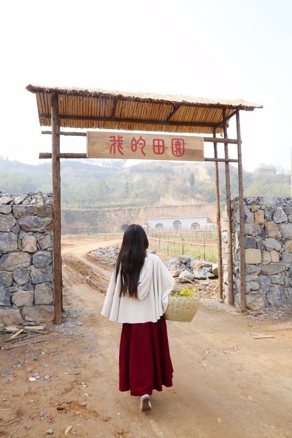 80后美女舍弃城里豪宅 回农村种地住窑洞 - 子泳 - 子泳WZ的博客 80后美女舍弃城里豪宅 回农村种地住窑洞 - 子泳 - 子泳WZ的博客