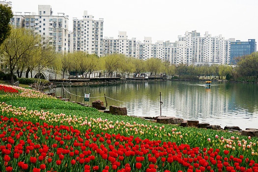 新江湾城的房价究竟值多少? --凤凰房产上海