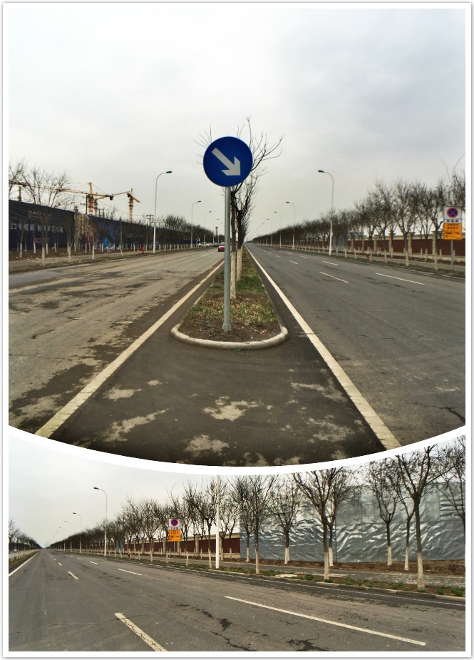 海河教育园区学片已就位 凤凰小编实地探访区