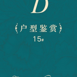 15#D户型
