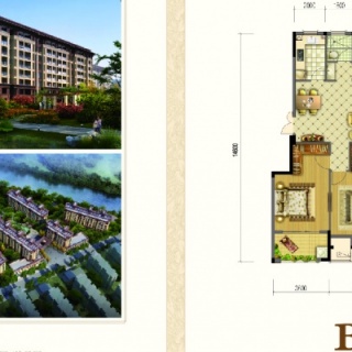 B型116m²