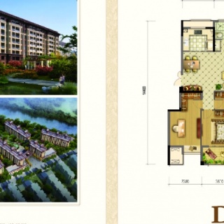 D型132m²