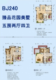 D户型