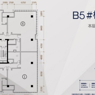 B5#楼5-6层平面