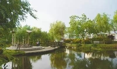 大厂倾力打造后花园