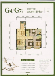 21#楼G4/G7户型