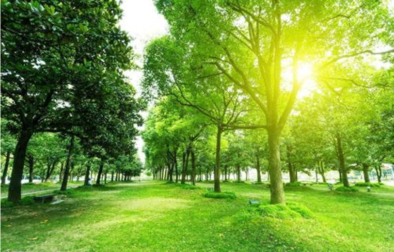 绿色永清能给您带来什么? --凤凰网房产北京