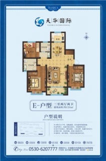 E户型
