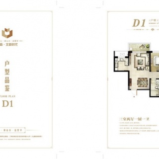 10#地D1户型