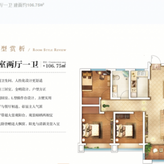 高层G3户型