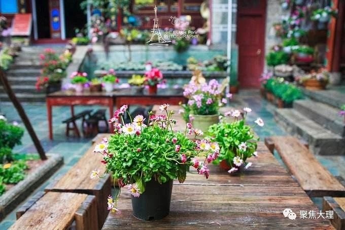 大理网红尼姑庵未批先建,因侵占大理苍山保护