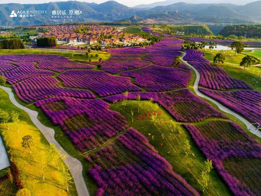 腾冲·雅居乐云南原乡实景照片