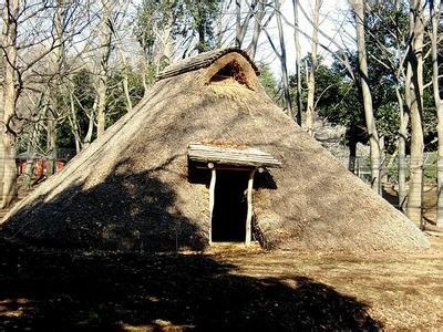 穴居式房屋高出地面的房屋在古代的日本,主要有两种不同样式的房屋.