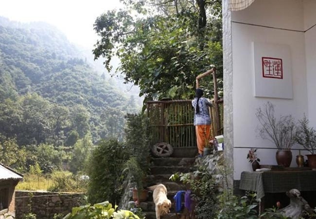 80后女医生隐居终南山 得高人指点终日采药行医