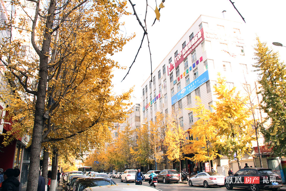 身边 外国人看中国