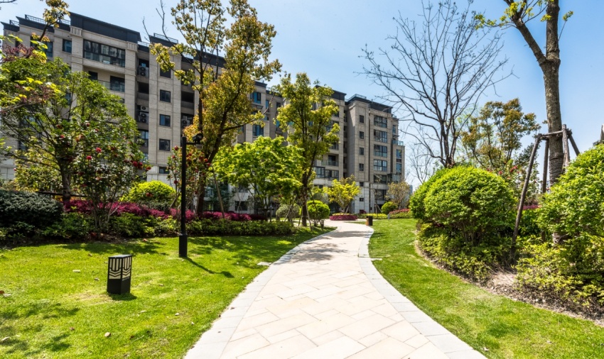 探秘丨中央公园与南翔共成长,"五彩菁英展"见证区域升级