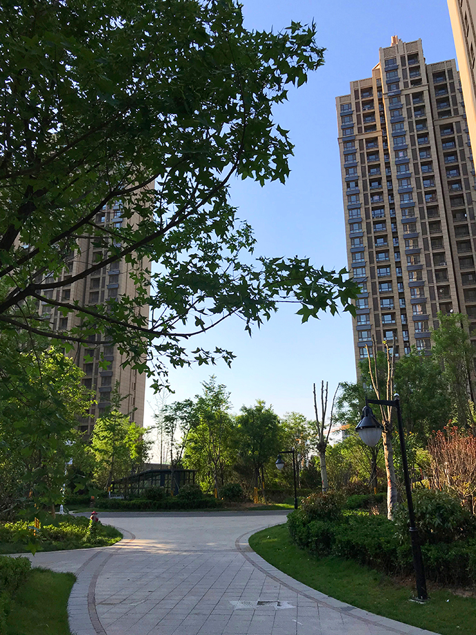 清山漫香林