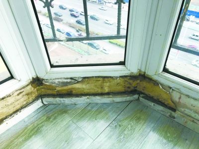 墙壁渗水发霉用什么贴墙 01edd999490fd11c8a8f179975a0215a.jpg