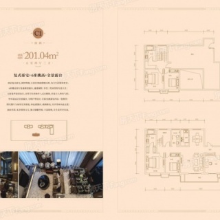 C1户型  201.04