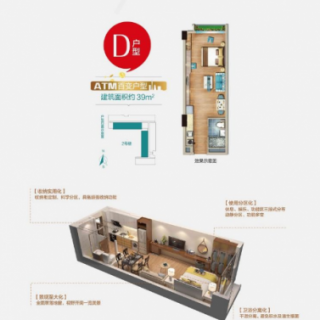 D户型