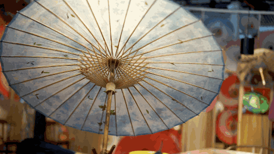 550_309gif 动态图 动图