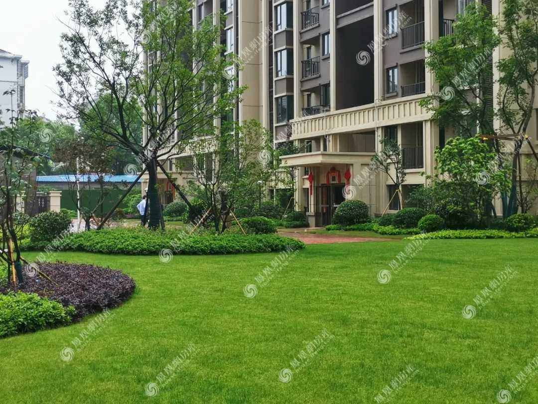 富力尚悦居小区实景图